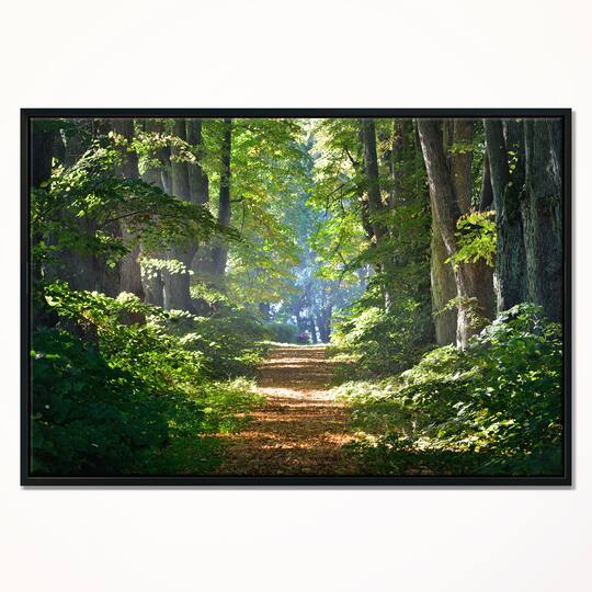Designart - Bright Green Forest in Morning